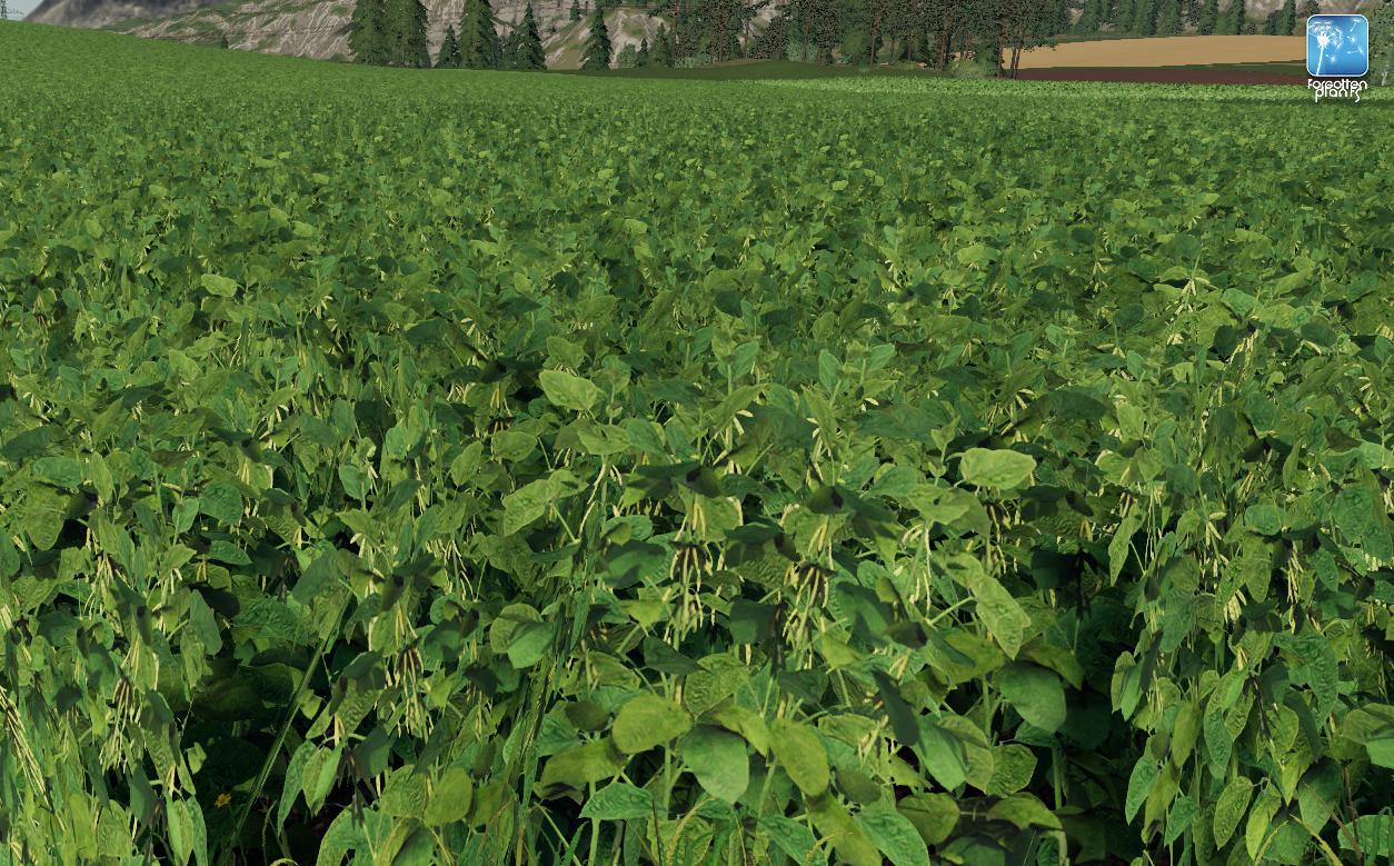 Plants Soybean v1.0 for FS19 Farming Simulator 2022 mod